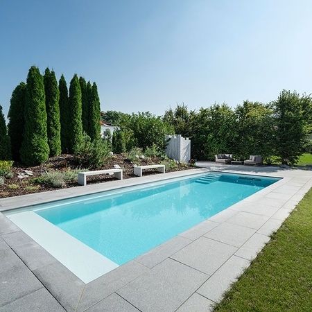 Moderner Pool mit schönen Pflanzen im Hintergrund
